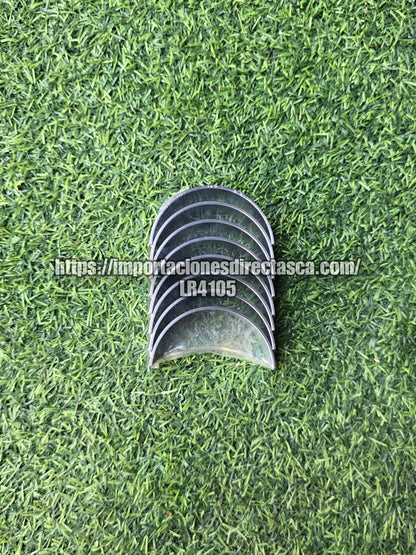 Concha Biela LR4105